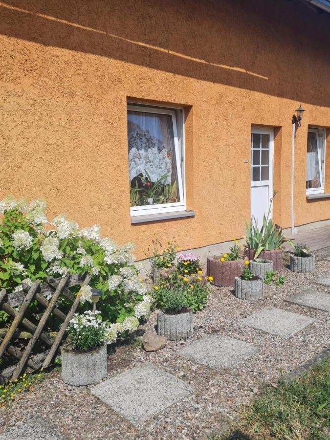 Ferienwohnung Warnitz Blankenburg  ภายนอก รูปภาพ
